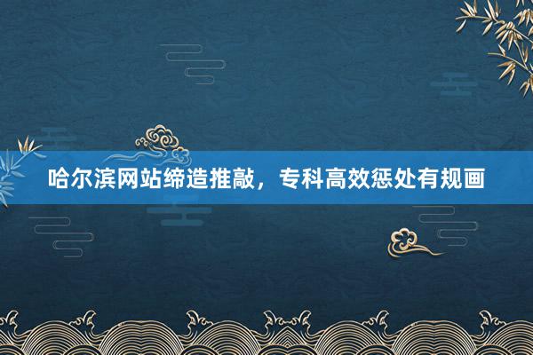 哈尔滨网站缔造推敲，专科高效惩处有规画