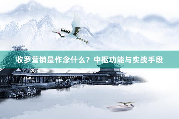收罗营销是作念什么？中枢功能与实战手段